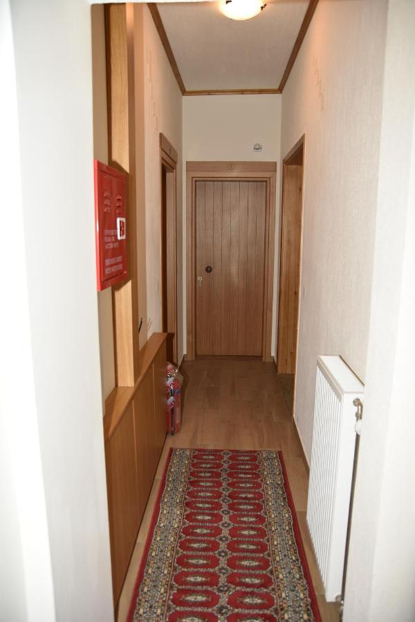 Nuca Guesthouse ميتسوفو المظهر الخارجي الصورة